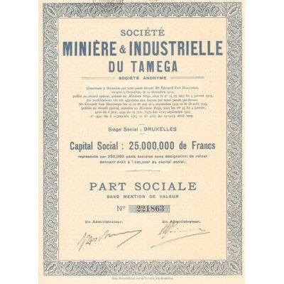 Sté Minière & Industrielle du Tamega S.A. (Part Sociale)
