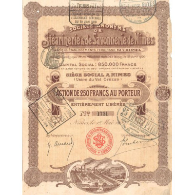 S.A. de Stéarinerie & de Savonnerie de Nimes (Act 250 F)