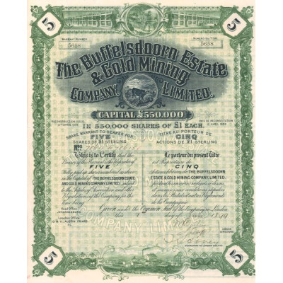 The Buffelsdoorn Estate & Gold Mining Cy Ltd (Titre 05 Act 1£)