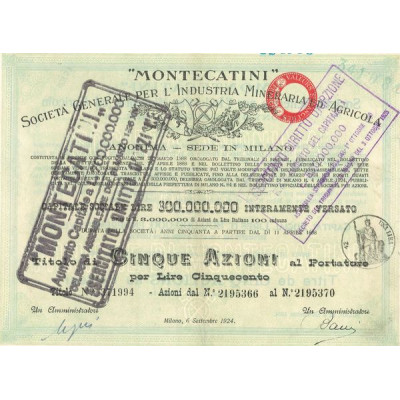 "Montecatini" Sta Gale per l'Industria Mineraria ed Agricola (Titre 5 Act 100 Lire) - 1924 (Modele 2) (Vert)