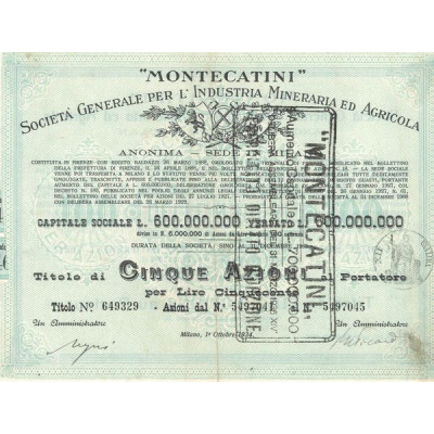 "Montecatini" Sta Gale per l'Industria Mineraria ed Agricola (Titre 5 Act 100 Lire) - 1934 (Modele 2) (Vert)