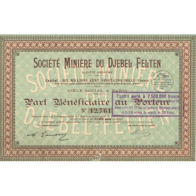 Sté Minière du Djebel Felten (PB)