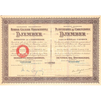 Naamlooze Vennootschap Rubber Cultuur Maatschappij Djember (Act Dividende)
