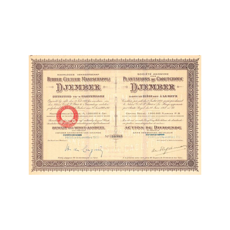 Naamlooze Vennootschap Rubber Cultuur Maatschappij Djember (Act Dividende)