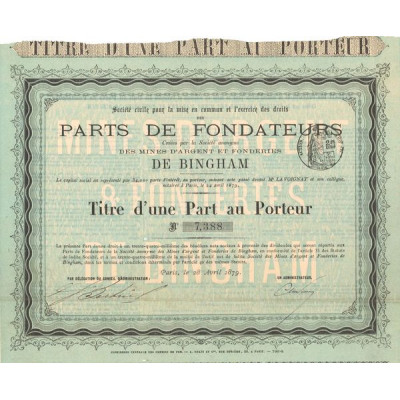 Sté Civile pour la Mise en Commun et l'Exercice des Droits des Parts de Fondateurs des Mines d'Argent et Fonderies de Bingham (T