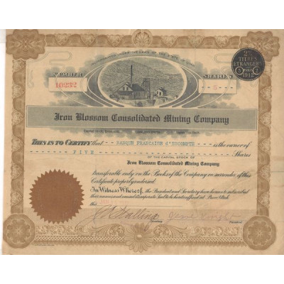 Iran Blossom Consolidated Mining Cy (Titre 05 Act)