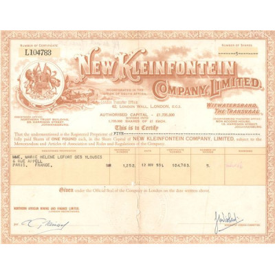 New Kleinfontein Cy Ltd (CN Act 1£)