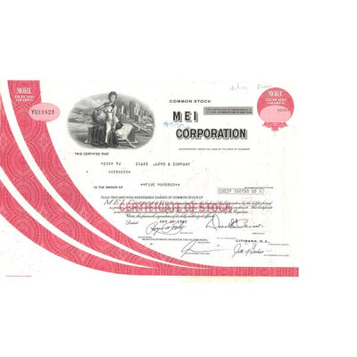 MEI Corp (CN Titre 100 Act 500 $)