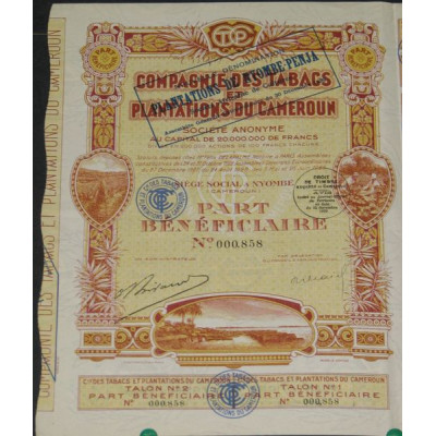 Cie des Tabacs et Plantations du Cameroun (devenu Nyombe-Penja)