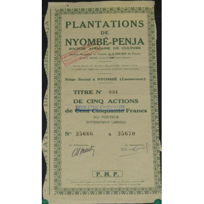 Plantations de Nyombé-Penja - Sté Africaine de Culture