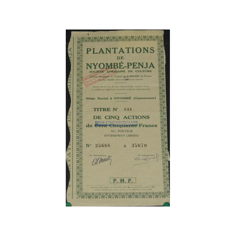 Plantations de Nyombé-Penja - Sté Africaine de Culture