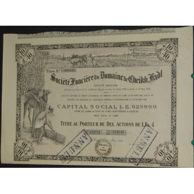 Sté Foncière du Domaine de Cheikh Fadl (10 Act)