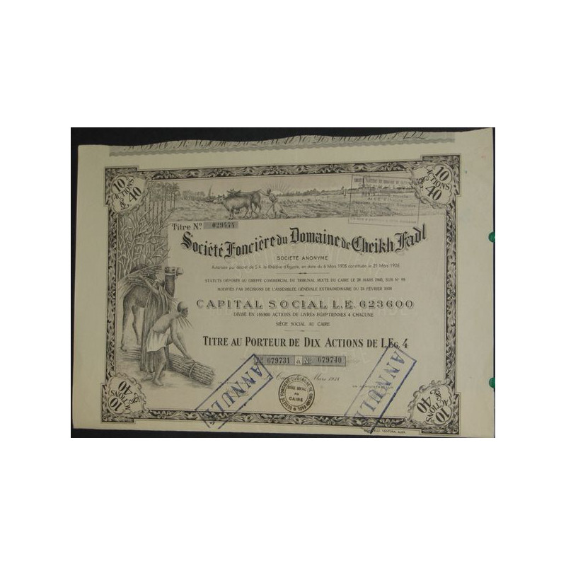 Sté Foncière du Domaine de Cheikh Fadl (10 Act)