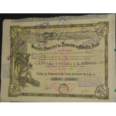 Sté Foncière du Domaine de Cheikh Fadl (5 Act)