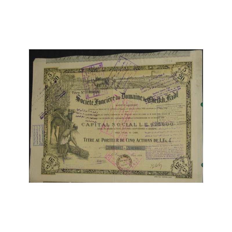 Sté Foncière du Domaine de Cheikh Fadl (5 Act)
