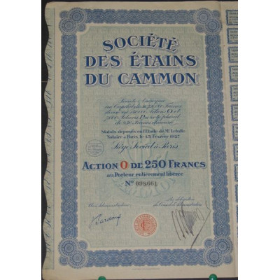 Sté des Etains du Cammon (Act O)