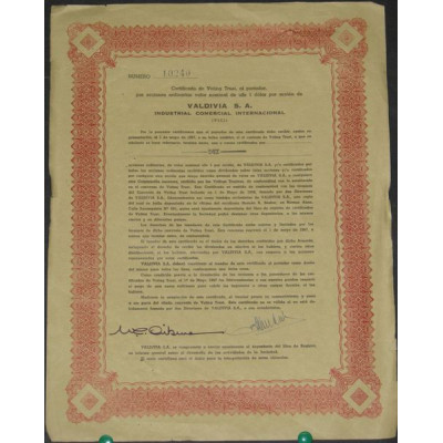 Valdivia S.A. Industrial Comercial International (VICI)