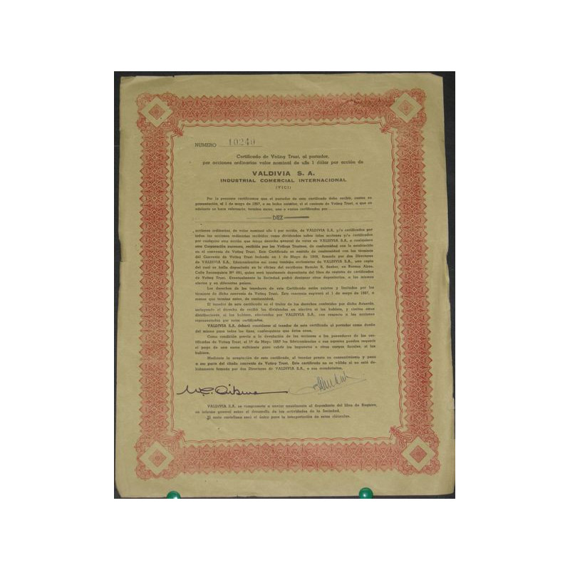 Valdivia S.A. Industrial Comercial International (VICI)