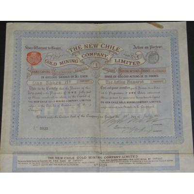 The New Chile Gold Mining Cy Ltd