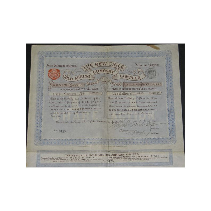 The New Chile Gold Mining Cy Ltd