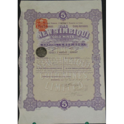 The New Timbiqui Gold Mines Ltd (Titre 05 Act 1£)