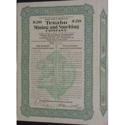 Tenabo Mining and Smelting Cy