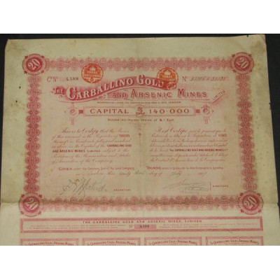 The Carballino Gold and Arsenic Mines (20 Ac)