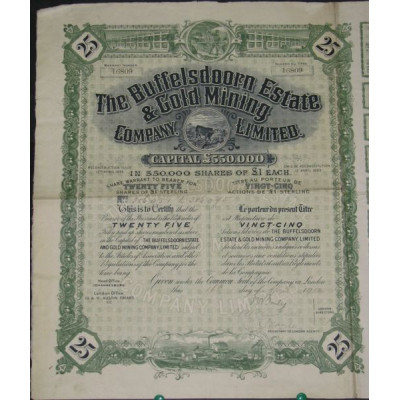 The Buffelsdoorn Estate & Gold Mining Cy Ltd