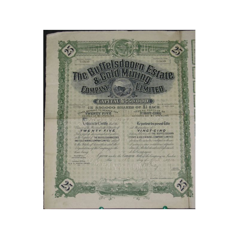 The Buffelsdoorn Estate & Gold Mining Cy Ltd