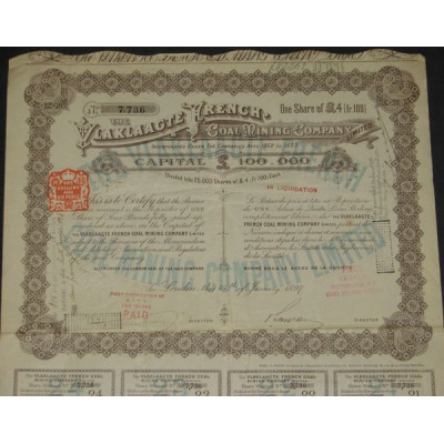 The Vlaklaagte French Coal Mining Cy Ltd