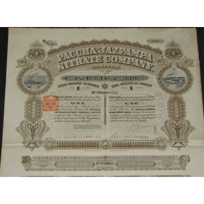 Paccha & Jazpampa Nitrate Cy Ltd (1 Ac)