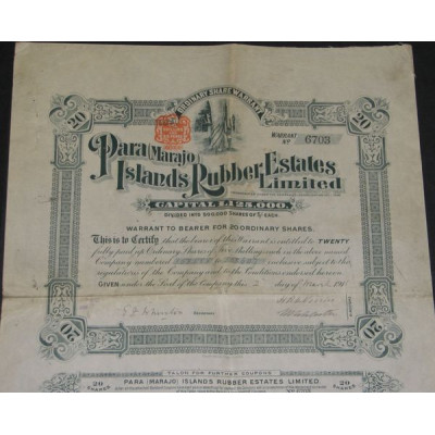Para (Marajo) Islands Rubber Estates Ltd (20 Ac)