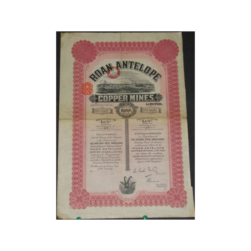 Roan Antelope Copper Mines (£ 6 et 5 shillings)