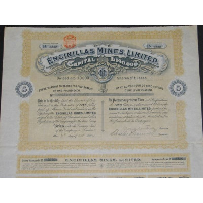 Encinillas Mines Ltd