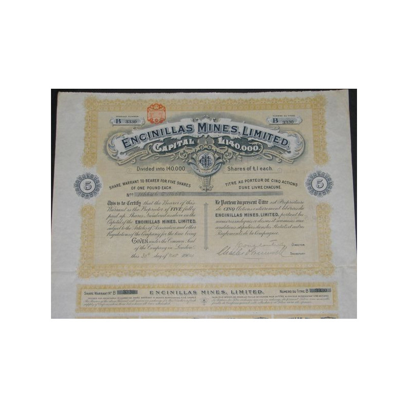 Encinillas Mines Ltd