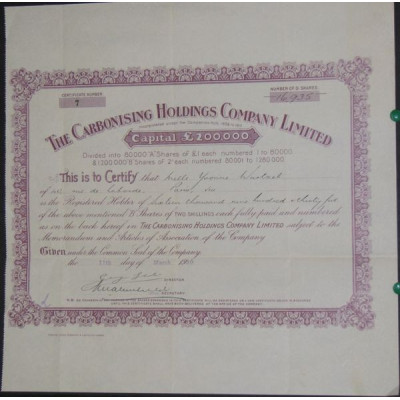 The Carbonising Holdings Cy Ltd