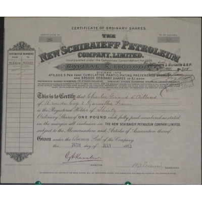 The New Schibaieff Petroleum Cy Ltd
