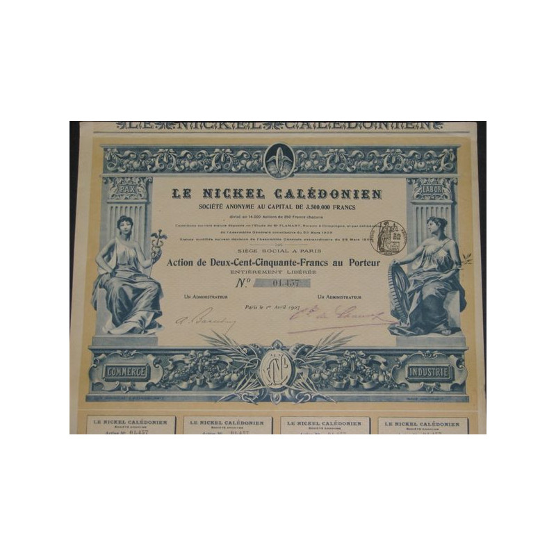 Le Nickel Calédonien