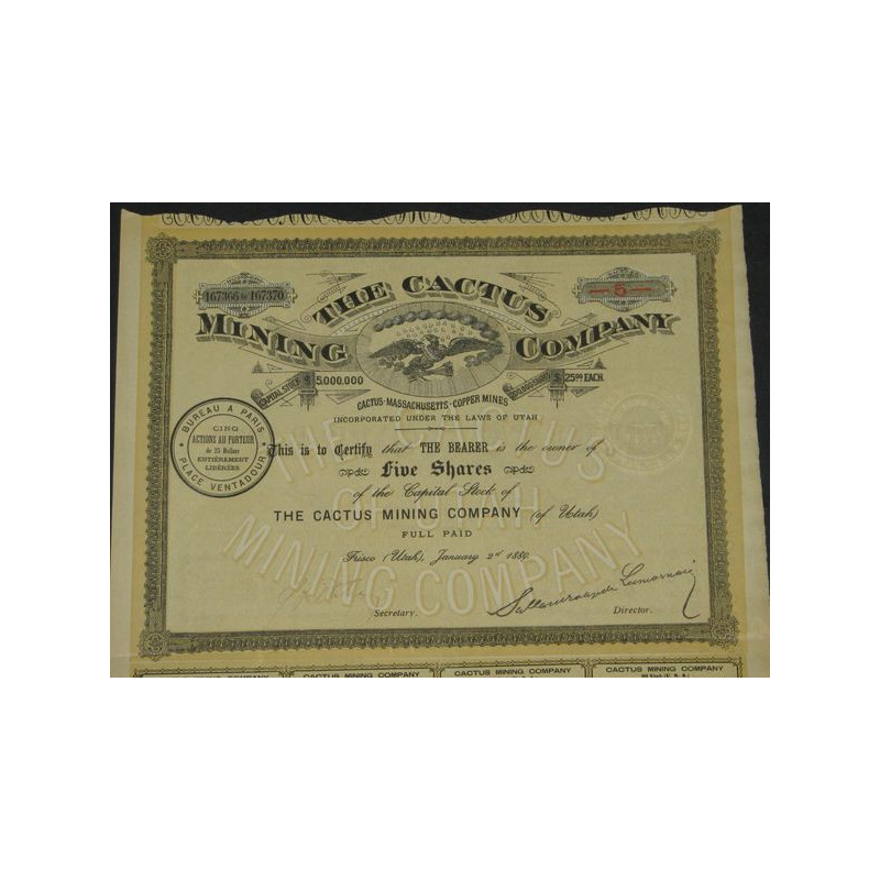 The Cactus Mining Cy