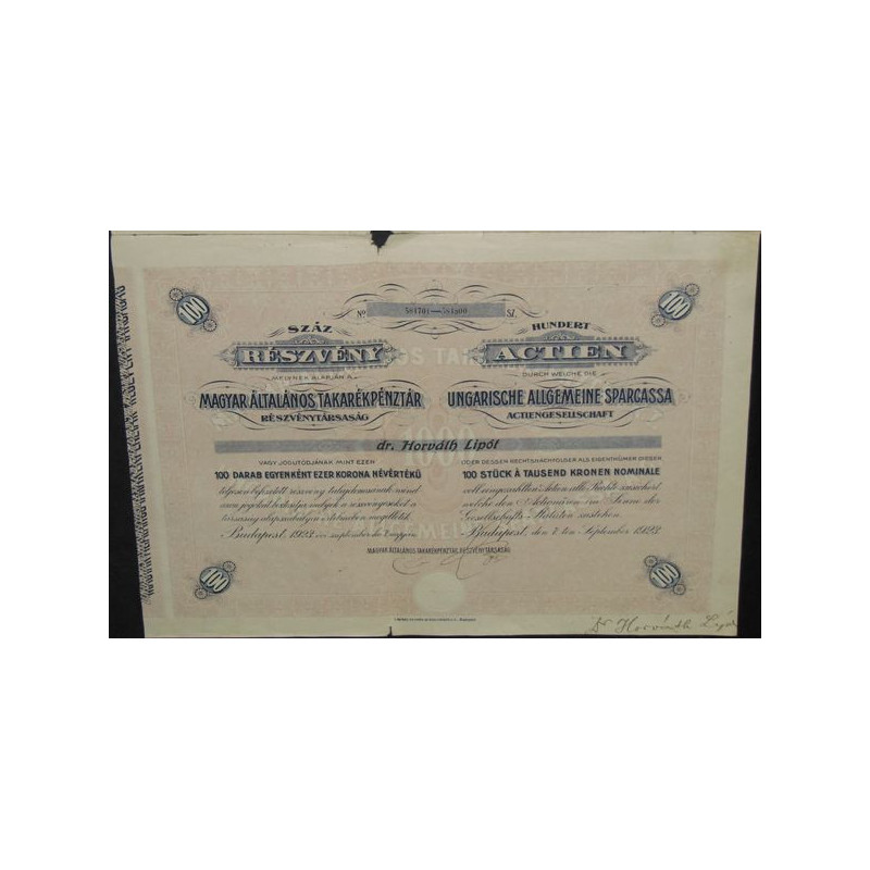 Ungarische Allgemeine Sparcassa - Banque Commerciale Triestina Trieste (100 Act)