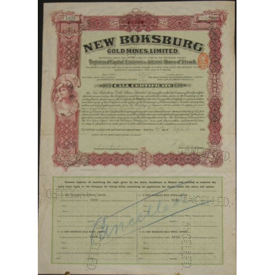 New Boksburg Gold Mines Ltd