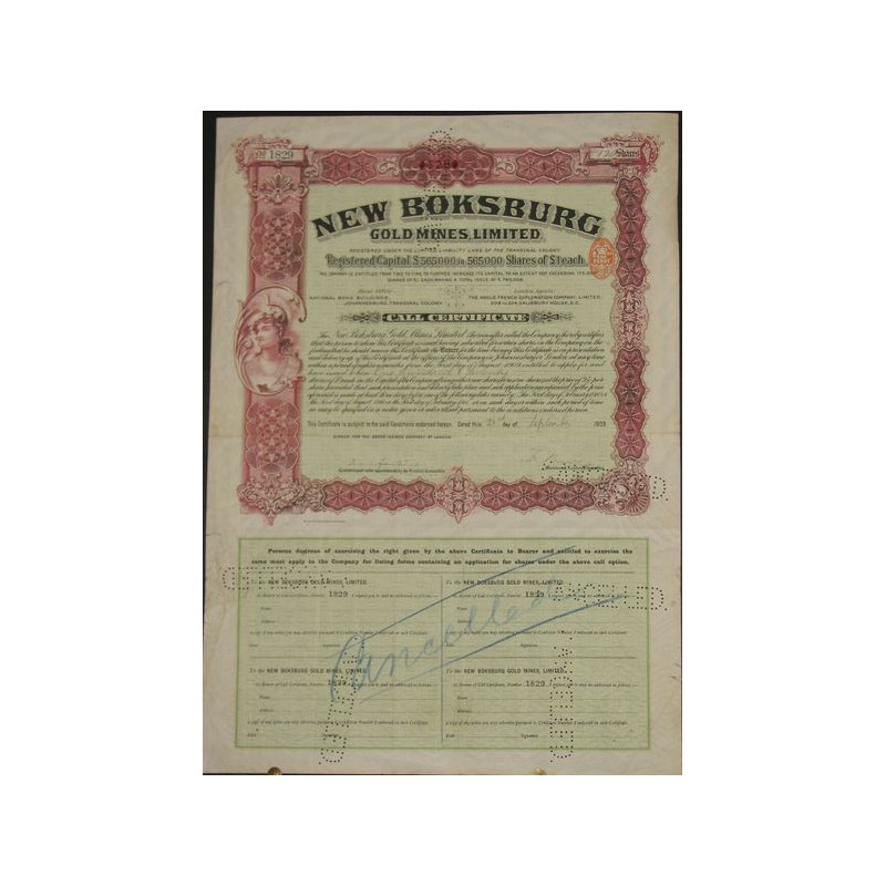 New Boksburg Gold Mines Ltd