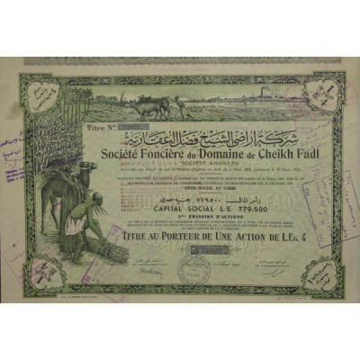 Sté Foncière du Domaine de Cheikh Fadl (Act)