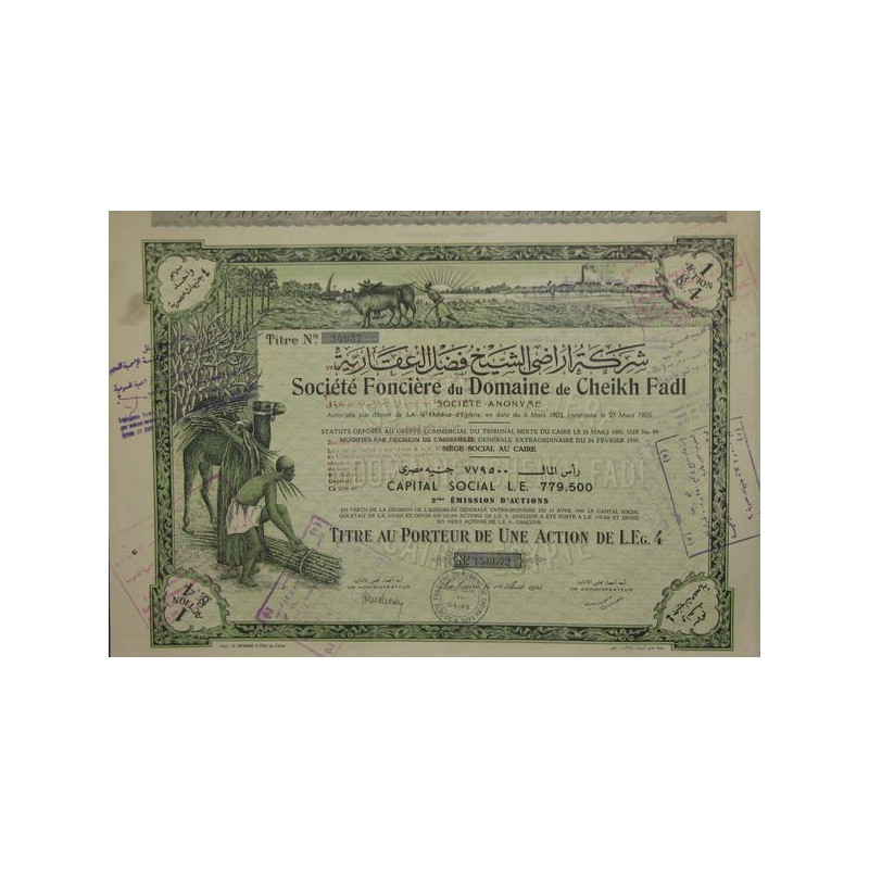 Sté Foncière du Domaine de Cheikh Fadl (Act)