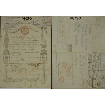 Camino de Burgos à Bercedo