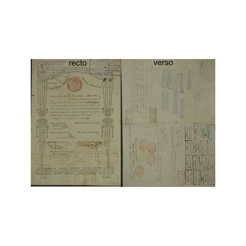 Camino de Burgos à Bercedo