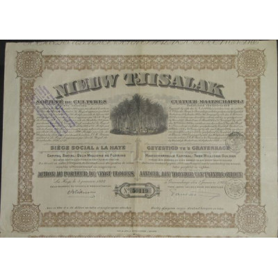 Nieuw Tjisalak - Sté de Cultures