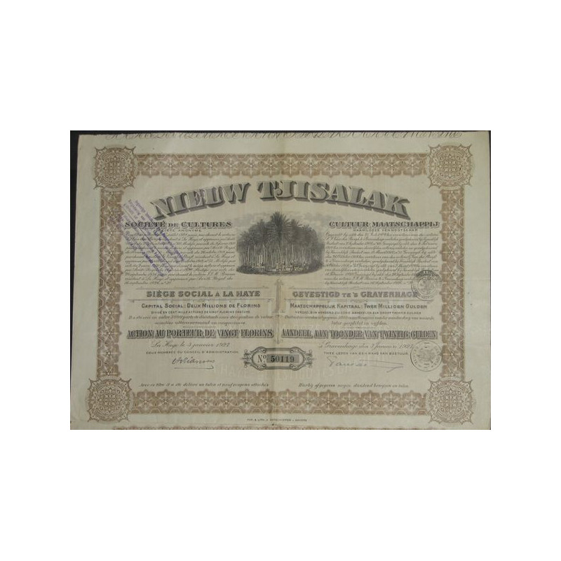 Nieuw Tjisalak - Sté de Cultures