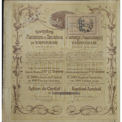 Sté des Plantations de Caoutchouc de Tapanoélie