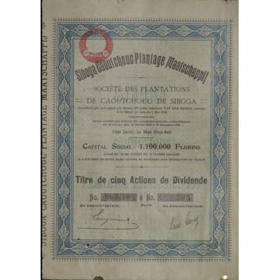 Sté des Plantations de Caoutchouc de Siboga (Titre 5 Act de Dividende)